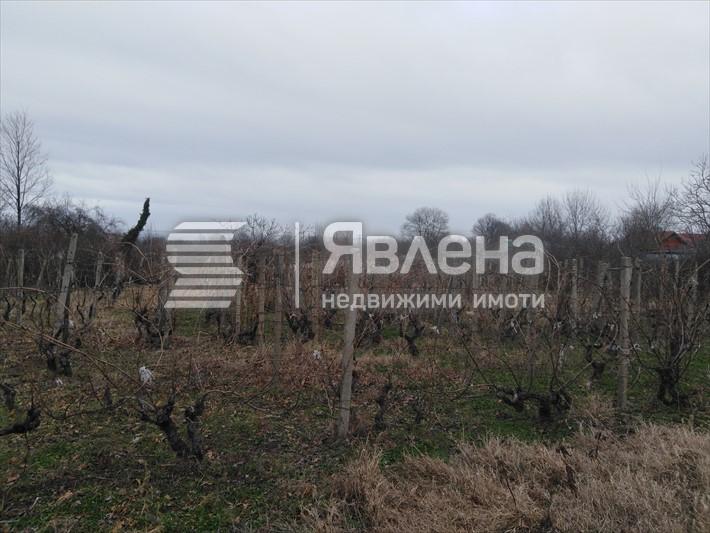 парцел