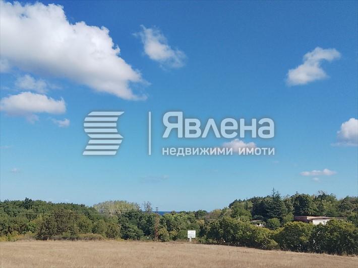 имот