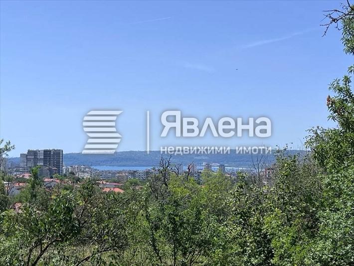 Панорама