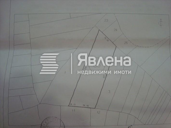 Скица