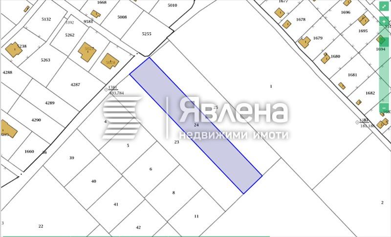 Оразмерение на Лозята