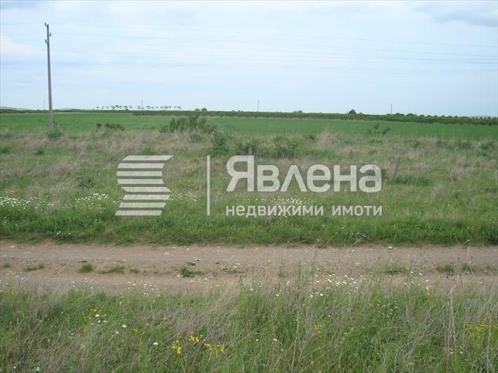 парцел
