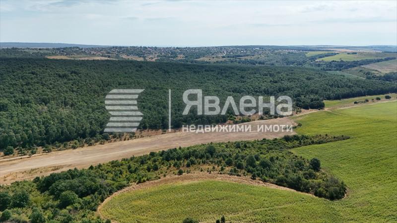 гледка