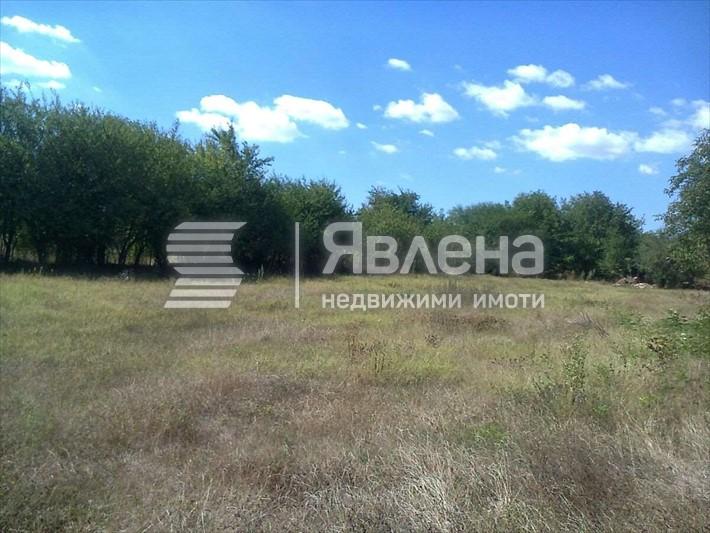 парц