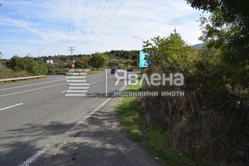 Лице на парцела