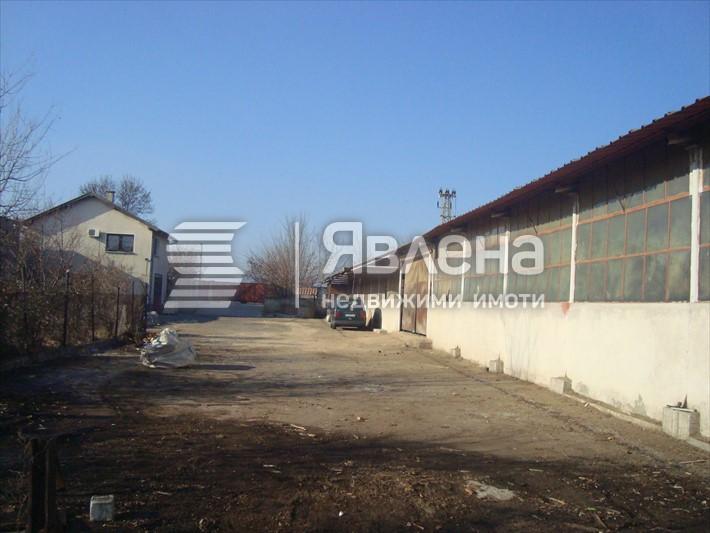 цялостен облик