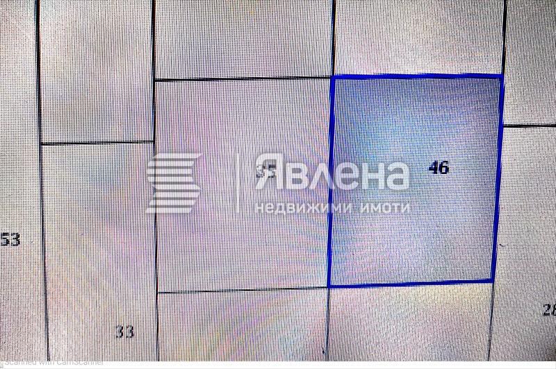 Гъсти могили