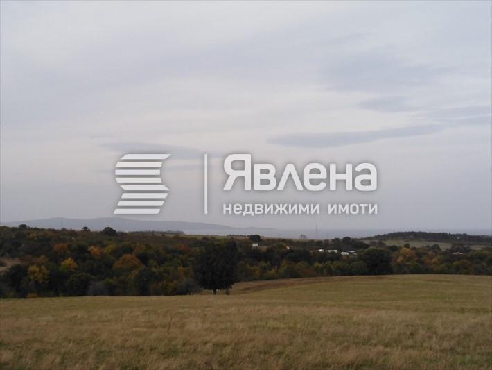гледка