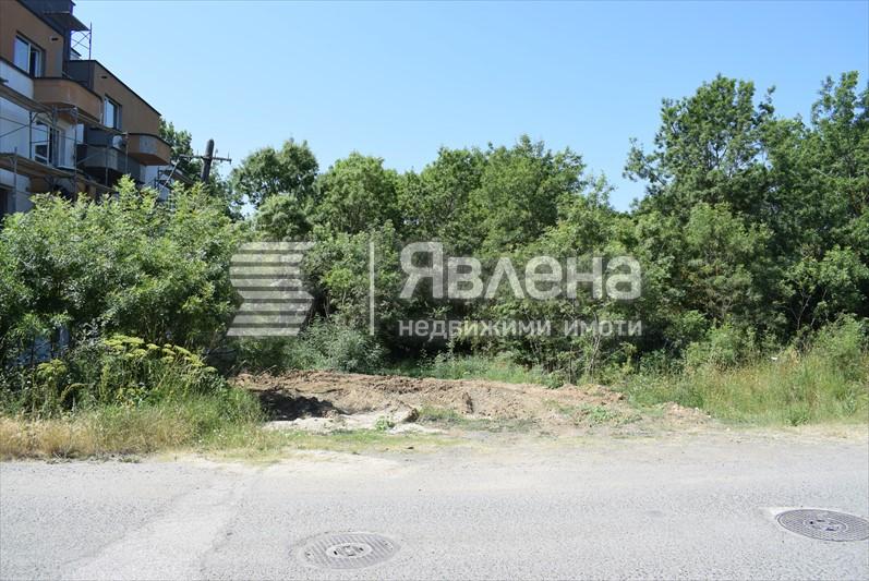 лице на парцела