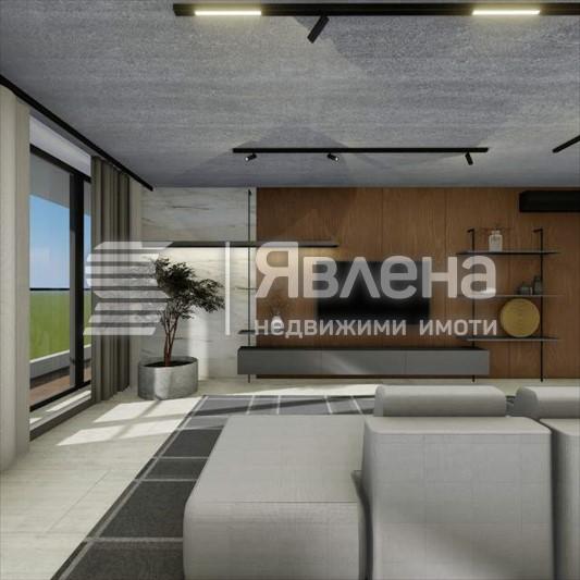 Дневна 1