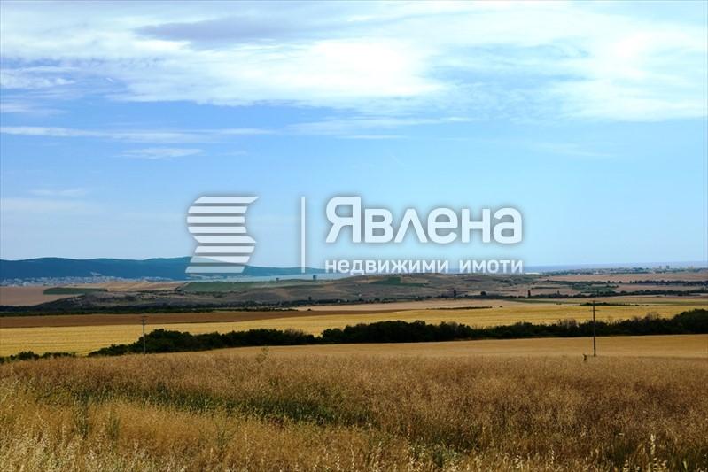 панорама