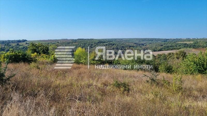 панорама