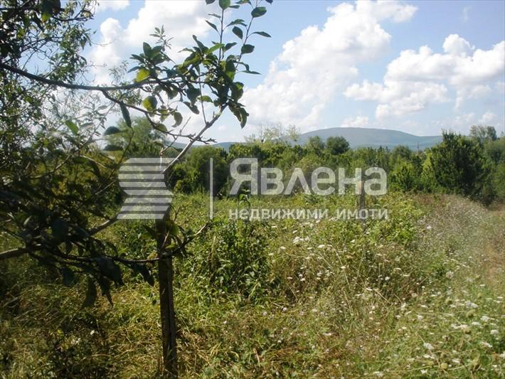 парцел