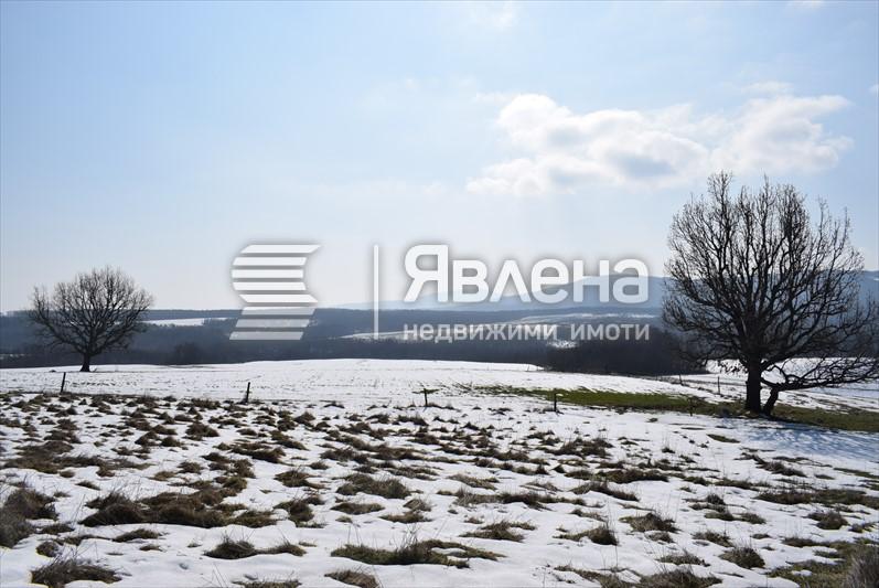 парцел