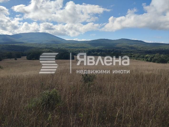 местоположение
