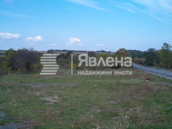 Нива в м.Елхов дол
