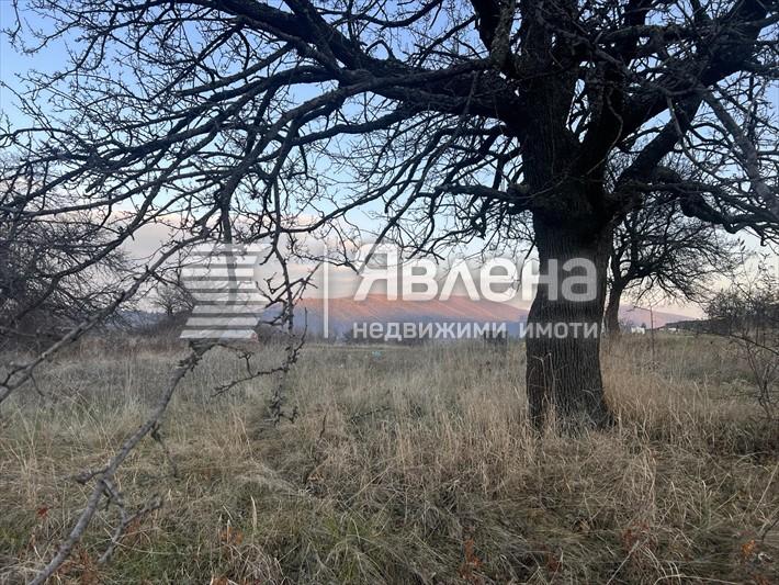 парцел