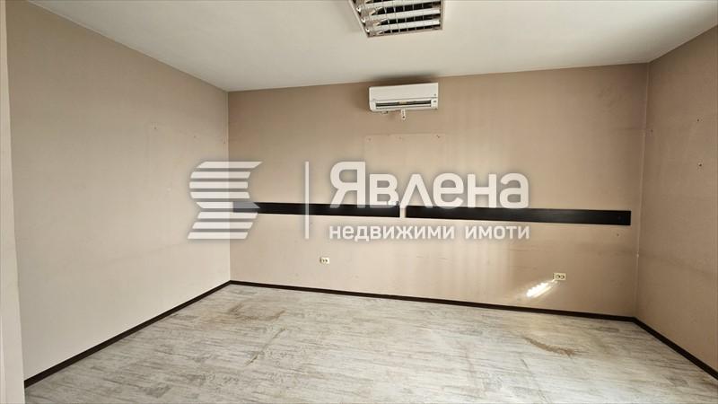 стая