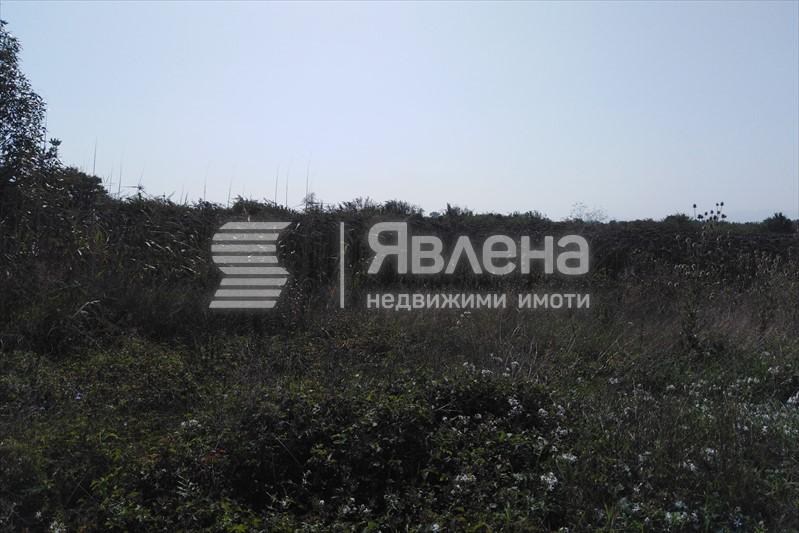 парцела