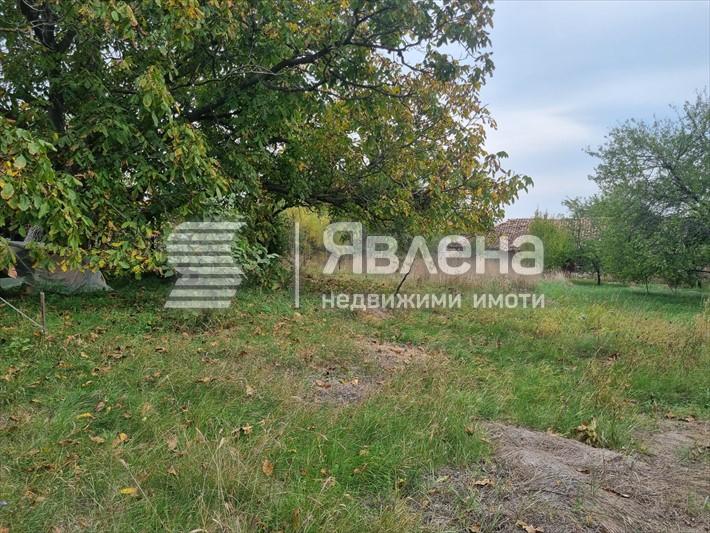 парцел