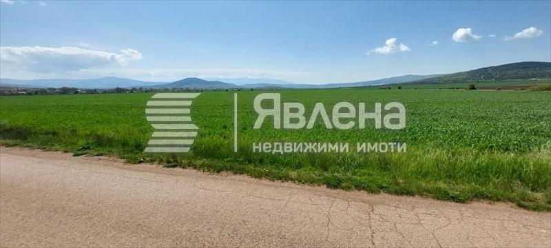 с. Друган, общ. Радомир