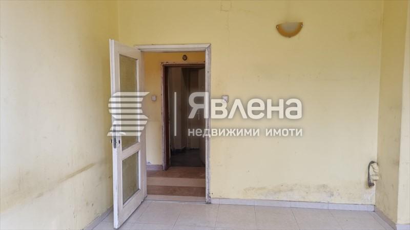 стая