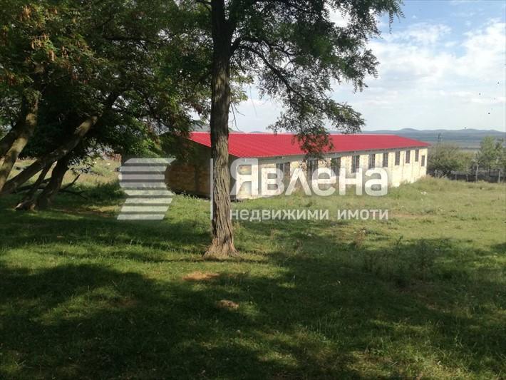 овцеферма