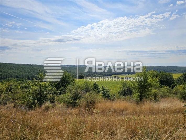 гледка