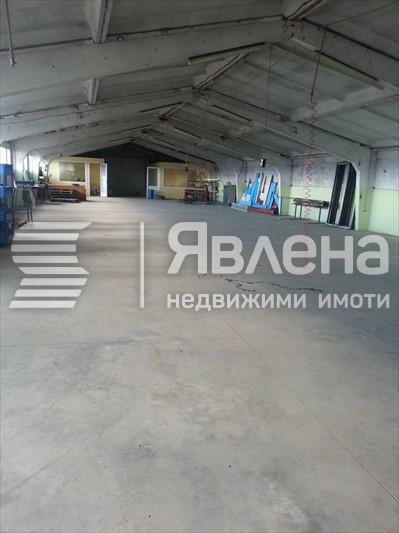 Хале 1