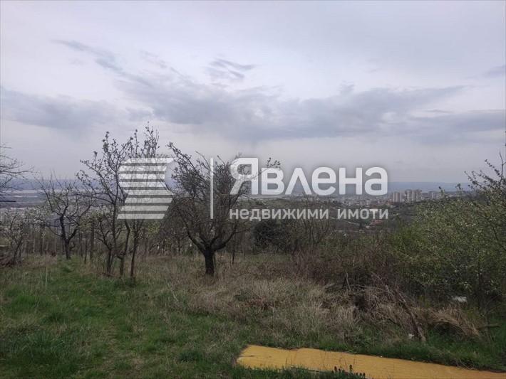панорама