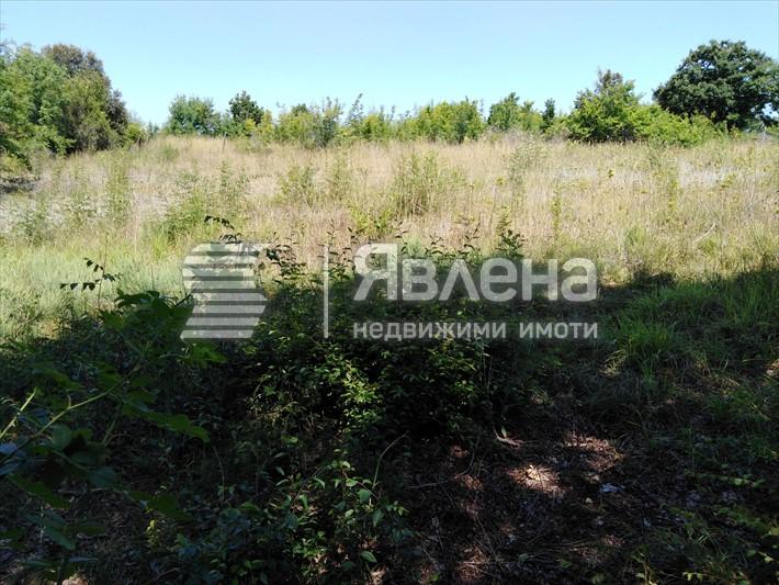 парцел