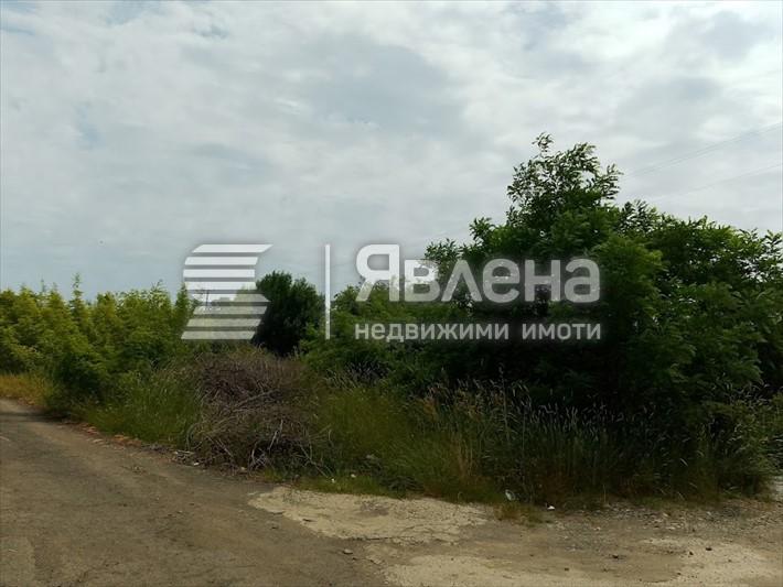 парцел