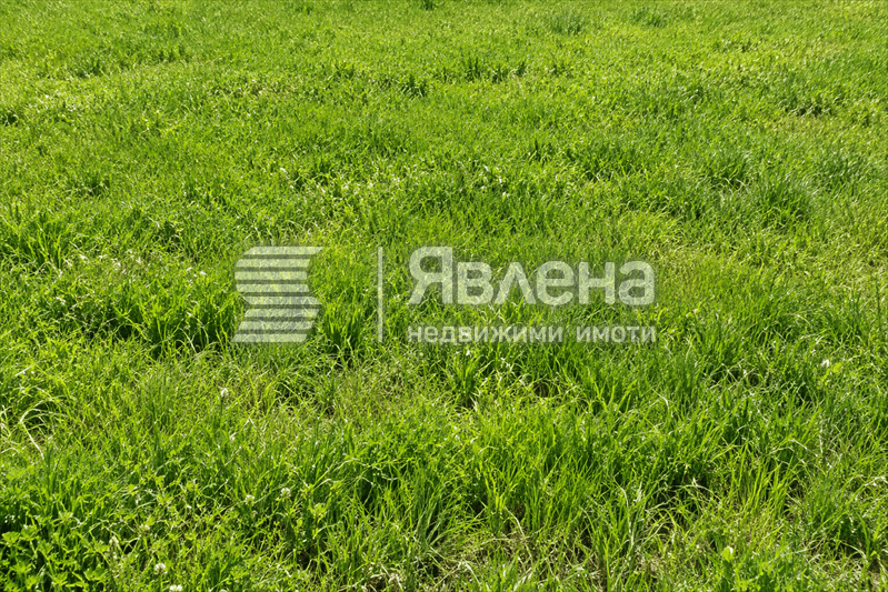 Парцел