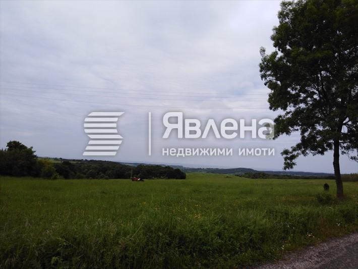 Фазаново