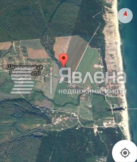 карта