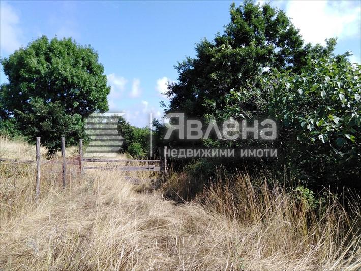 парцел