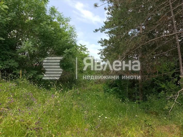 парцел