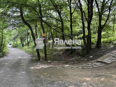 Парцел Бояна