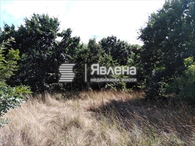 парцел