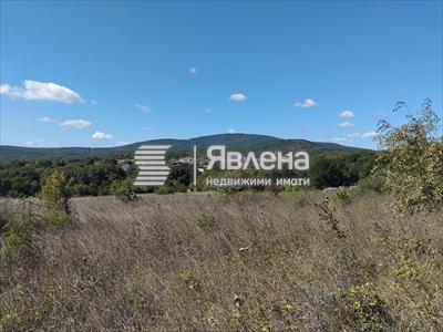 парцел