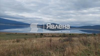 с