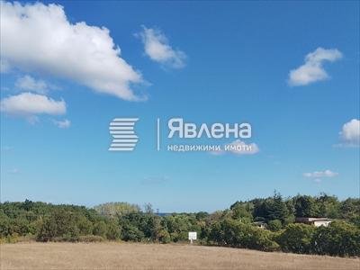 имот