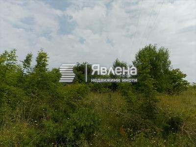 парцел