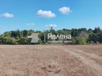 имот
