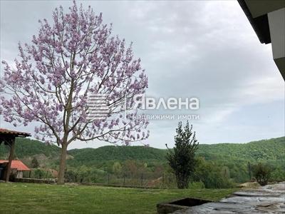 панорама