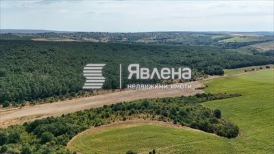 гледка