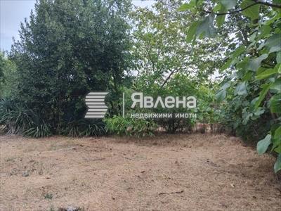 имот