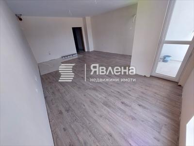 стая