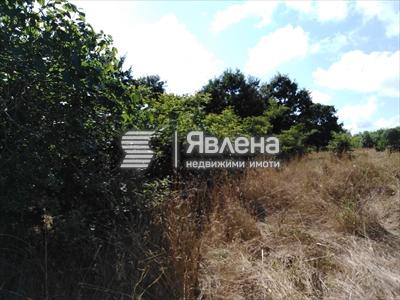 парцел
