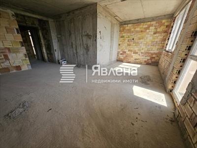 стая